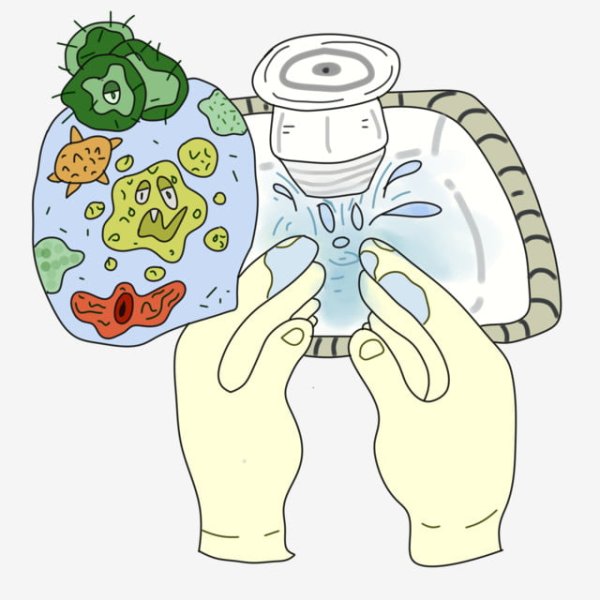 Бактерии на руках для детей