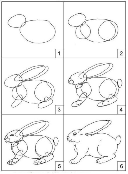 Поэтапное рисованиезаца
