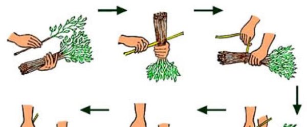 Лейка для рисования