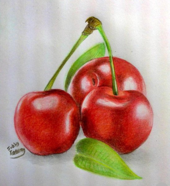 Фрукты цветными карандашами