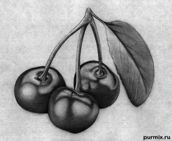 Рисование фруктов карандашом