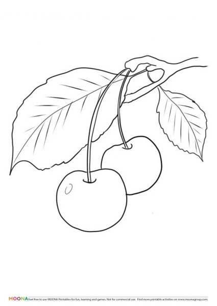 Ветка вишни раскраска для детей