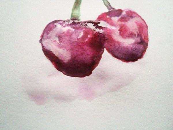 Вишня скетч акварелью