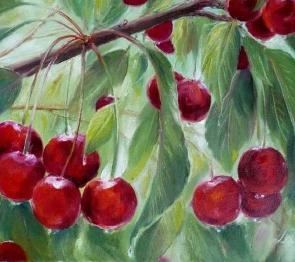 Черешня живопись