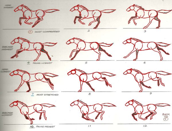 Лошадь бег референс