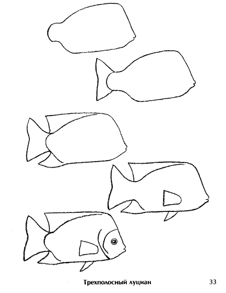 Последовательное рисование рыб для детей