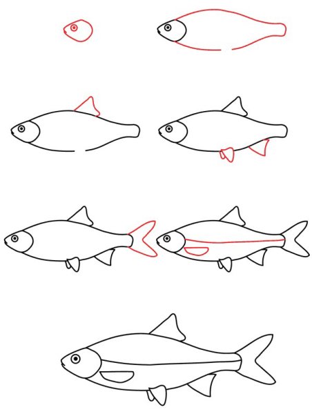 Поэтапное рисование рыбы