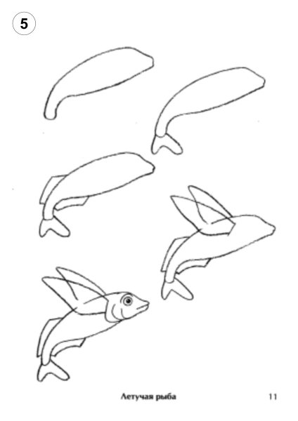 Рисование морских обитателей поэтапно