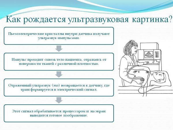 Ультразвуковое исследование принцип работы