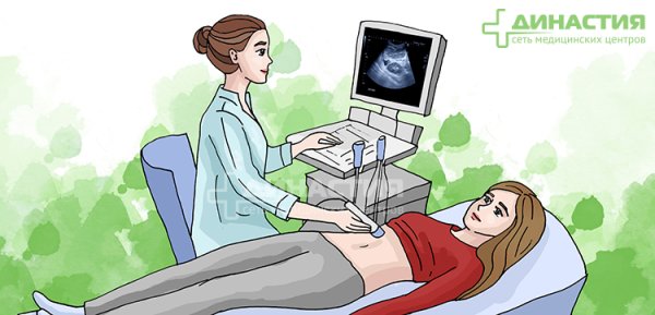 УЗИ иллюстрация