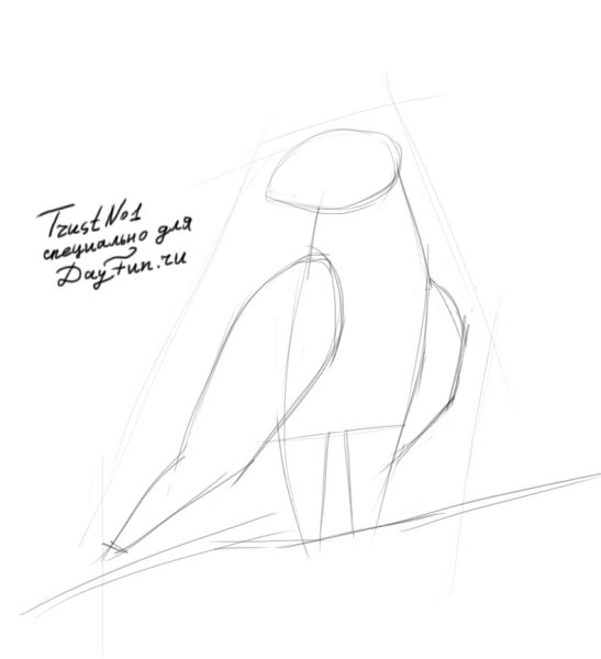 Коршун поэтапно