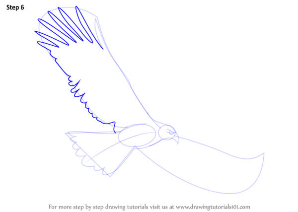 Рисуем орла поэтапно для детей