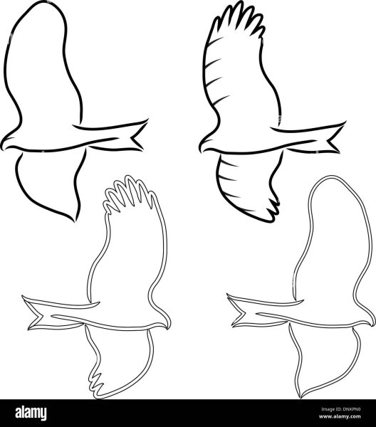 Коршун рисовать легко