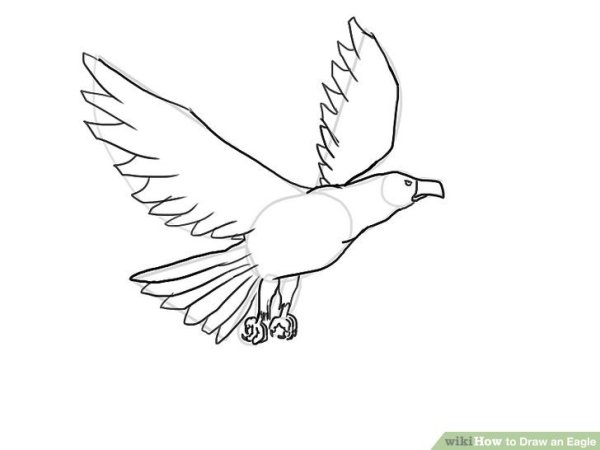 Коршун рисунок легкий