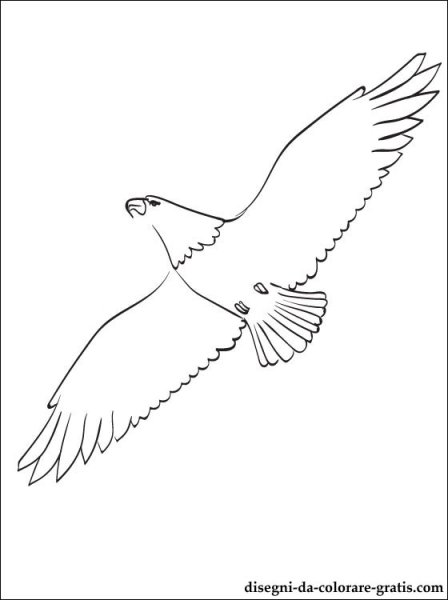 Коршун рисунок несложные