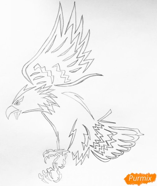 Коршун рисунок поэтапно