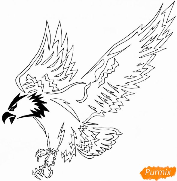 Нарисовать коршуна поэтапно