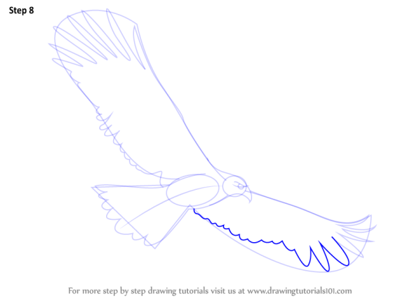 Рисуем орла поэтапно для детей