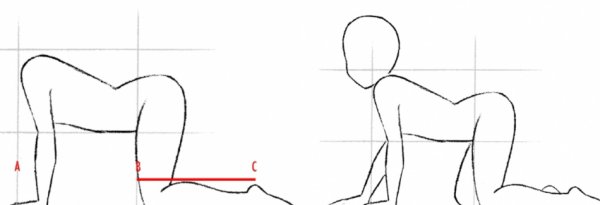 Тело девушки поэтапно для начинающих