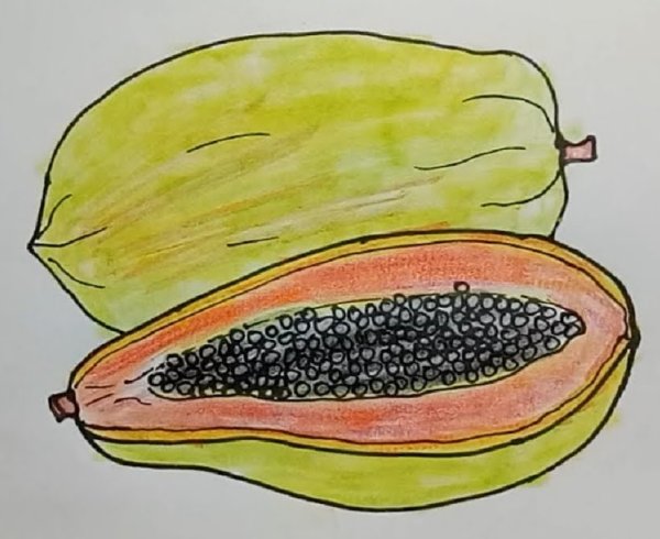 Папайя рисунок