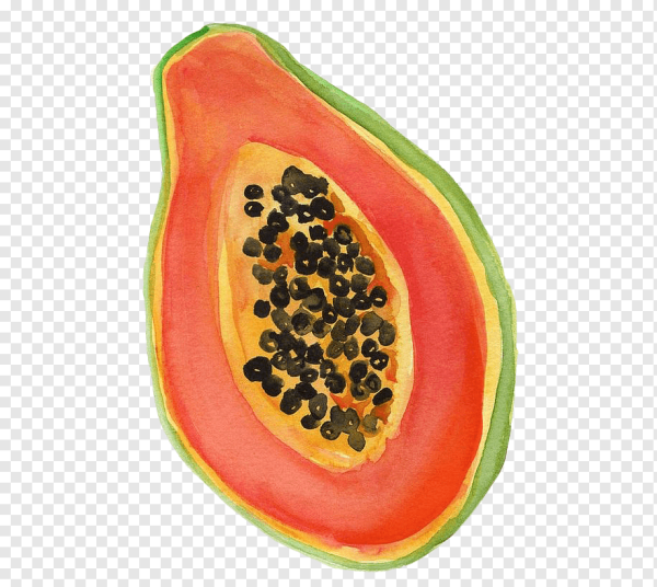 Папайя фрукт