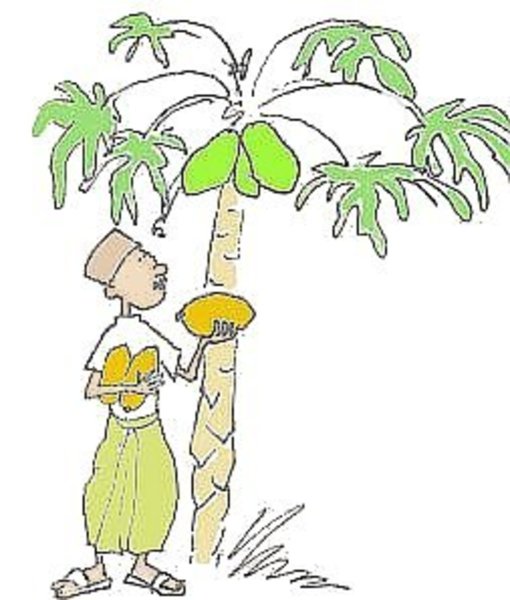 Папайя рисовать