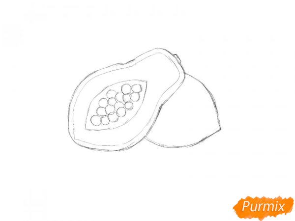 Папайя в разрезе рисунок