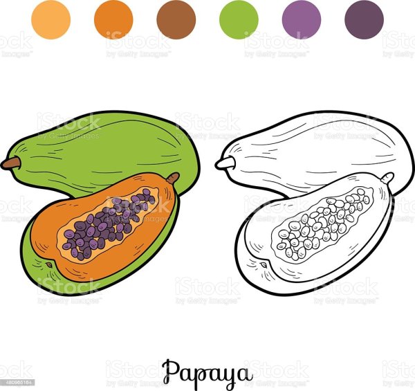 Поэтапное рисование пальмы для детей