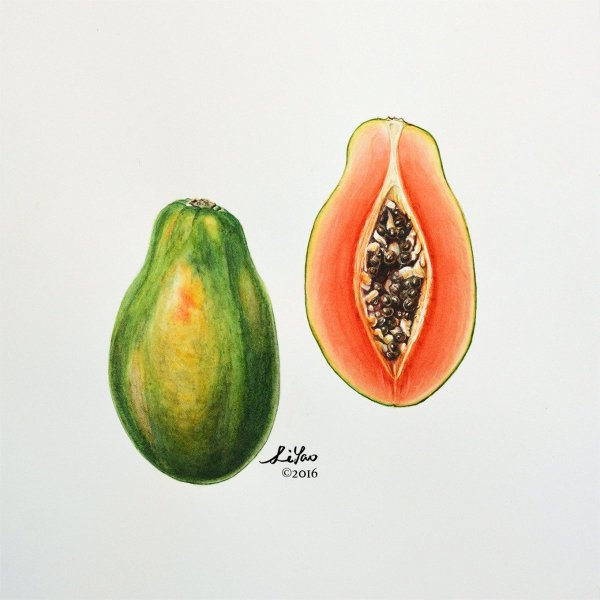 Дерево акварелью пошагово