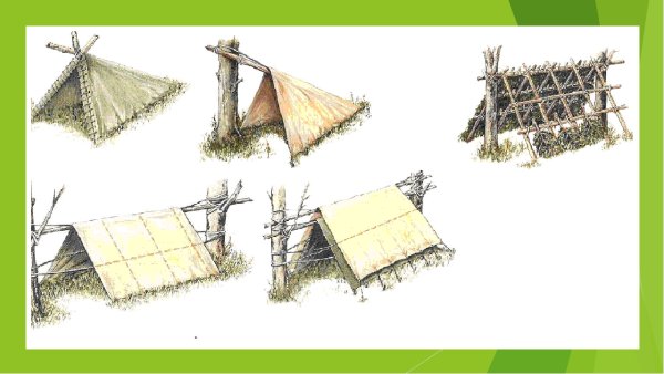 Временное укрытие из лапника