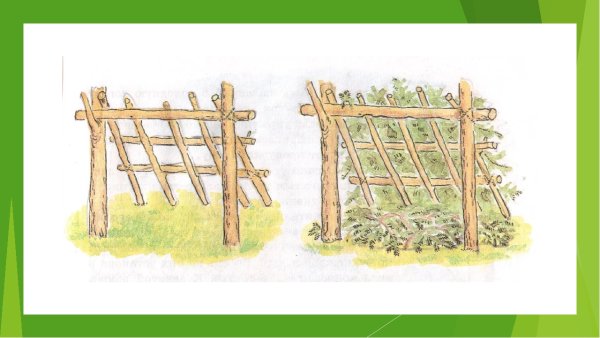 Как построить шалаш из веток