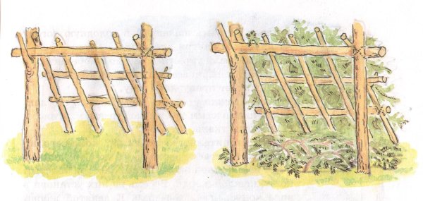 Сооружение временного жилища