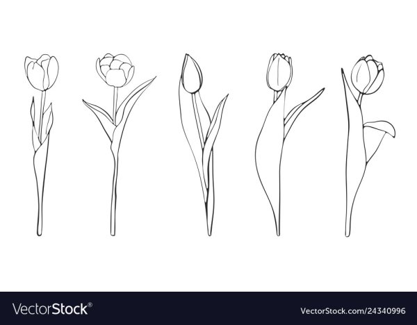 Схема рисования цветов