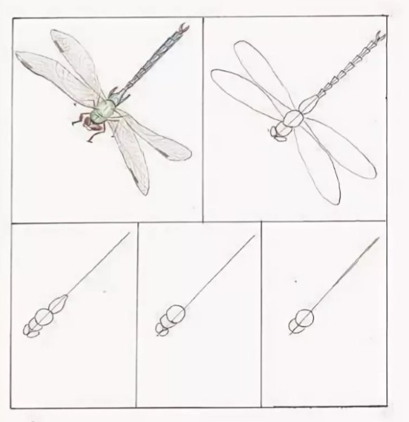 Рисование бабочки 1 класс презентация