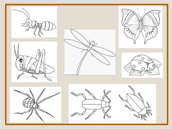 Рисунки акрилом поэтапно