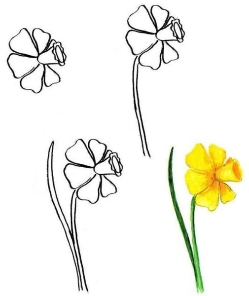 Свернутая карта рисовать поэтапно