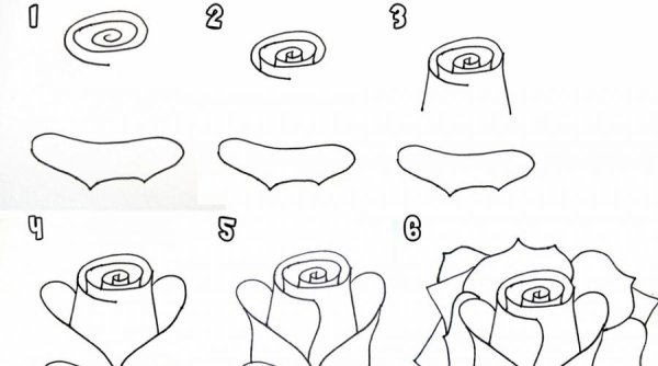 Этапы рисования пейзажа