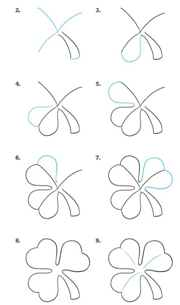 Поэтапное рисование одуванчика