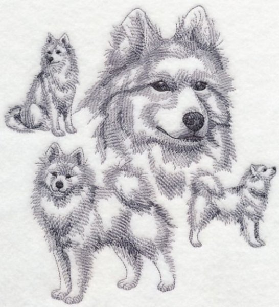 Самоед эскиз