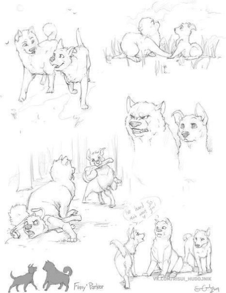 Верный рисованный последователь