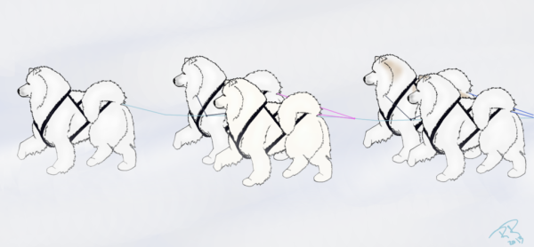 Шаблоны ездовых собак