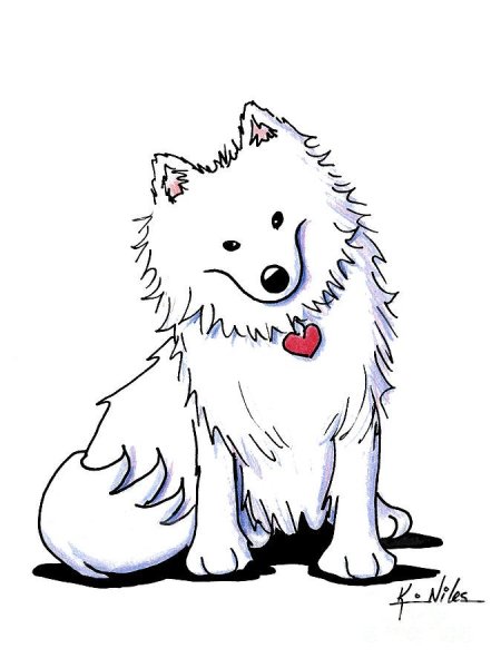 Самоедская лайка рисунок