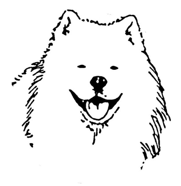 Самоедская лайка вектор