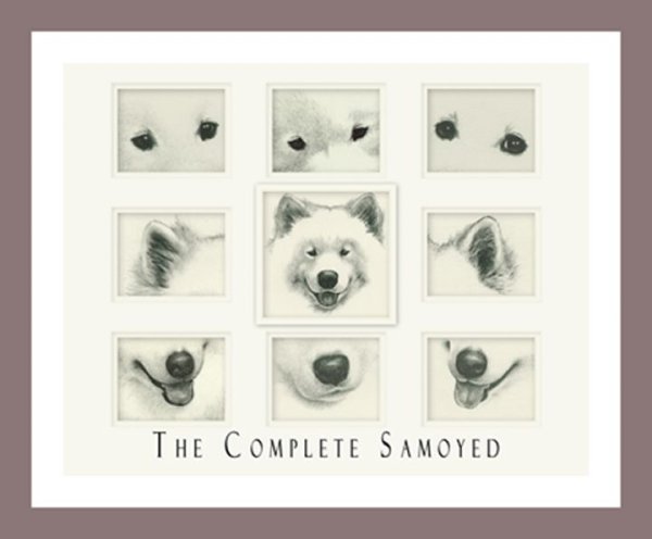 Нарисовать собаку самоеда