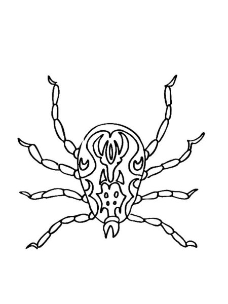 Нимфа клещ Дермацентор