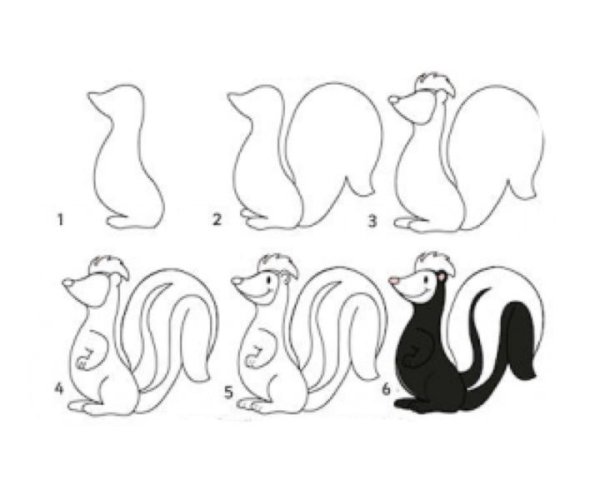 Как нарисовать скунса поэтапно
