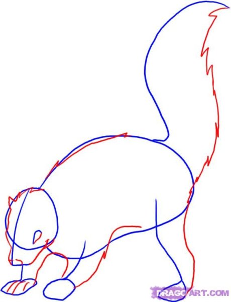 Нарисовать скунса поэтапно