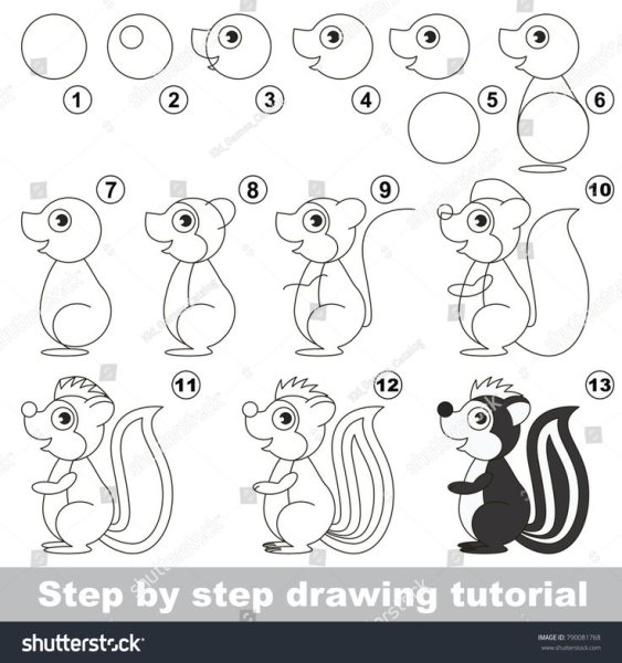 Учимся рисовать скунса