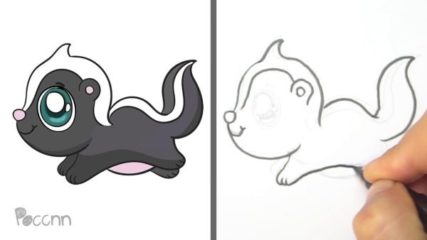 Скунс нарисованный легко