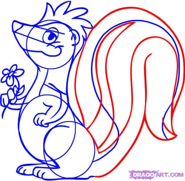 Скунс нарисовать карандашом